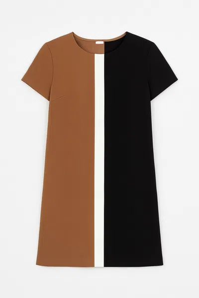 Conquista Women's Brown Straight Short Sleeve Dress