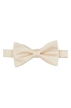 Construct Solid Satin Pre-tied Bow Tie In Vanilla