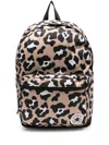 Converse Animal-pattern Backpack In Multi