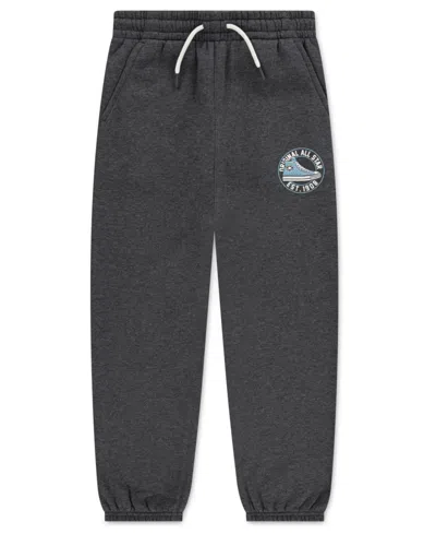 Converse Kids' Big Boys Heritage Established Regular Fit Jogger Pants In Green