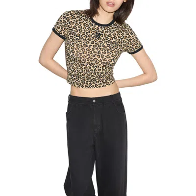 Converse Box Star Tee In Animal Print