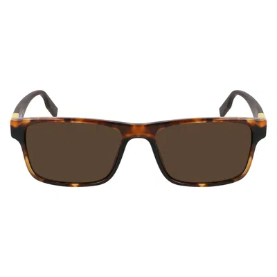 Converse Brown Acetate Sunglasses
