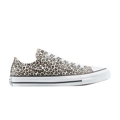 Pre-owned Converse Chuck Taylor All Star Low 'leopard' | Black | Men's Size 7