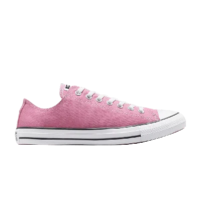 Pre-owned Converse Chuck Taylor All Star Low 'magic Flamingo' In Pink