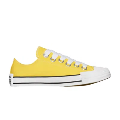 Pre-owned Converse Chuck Taylor All Star Low 'sketch - Golden Wren' | Yellow | Men's Size 11
