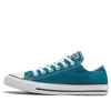 Converse Front Strapped Low Upper Board Shoes In Blue
