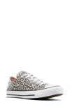 Converse Gender Inclusive Chuck Taylor All Star Leopard Spot Canvas Low Top Sneaker In Animal Print