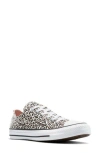Converse Gender Inclusive Chuck Taylor All Star Leopard Spot Canvas Low Top Sneaker In Animal Print