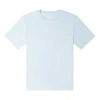 Converse Go-to Embroidered Star Chevron Standard-fit T-shirt 'light Blue'