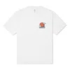 Converse Moving Mountains Short Sleeve T-shirt 'white'