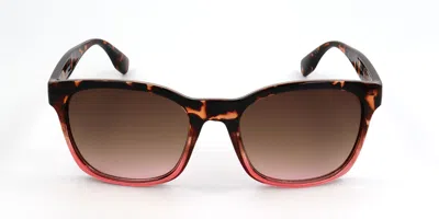 Converse Sco294 Topi Women's Sunglasses Tortoiseshell Size 55 In Brown