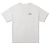 Converse (wmns)  Oversized Park Graphic T-shirt 'egret'