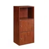 Convience Concept Xtra Storage 2 Door Cabinet In Brown