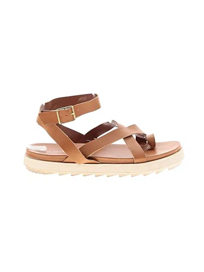 Pre-owned Cool Planet By Steve Madden Sandals In Brown