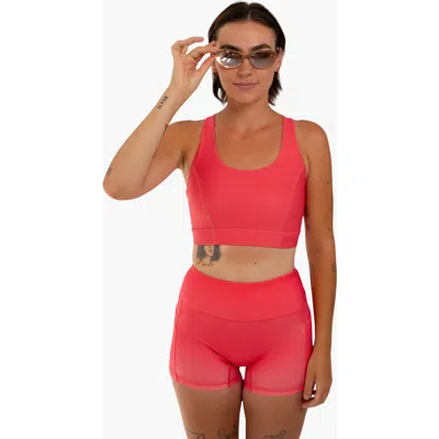 Cooldown Mikelle Bra In Pink Skyline
