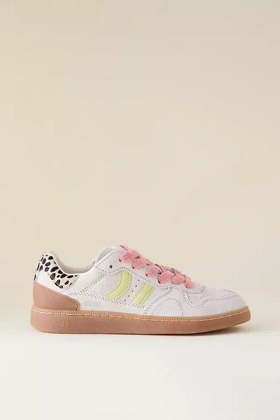 Coolway Goal Suede Trainers In Multi