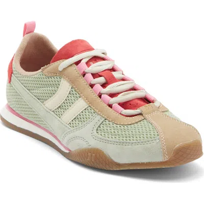 Coolway Nilo Sneaker In Multi