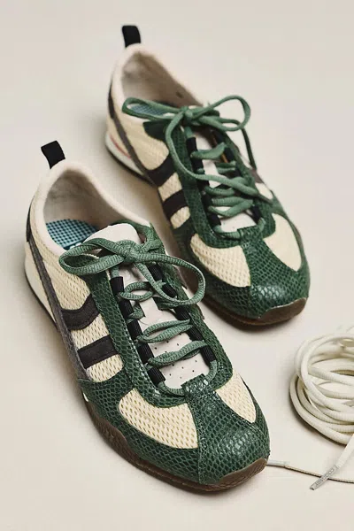Coolway Nilo Sneakers In Multi