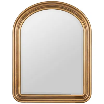 Cooper Classics Parker Gold Wall Mirror