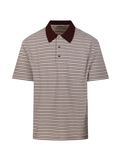 Coor Striped-pattern Polo Shirt In Multi