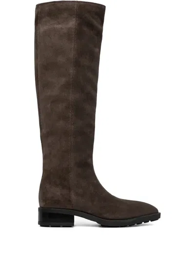 Copenhagen Suede Pointed-toe Knee-high Boots In Brown