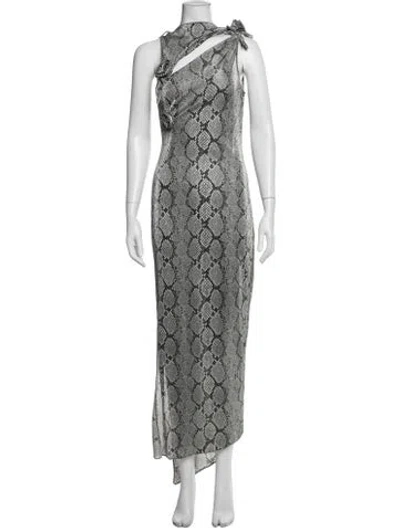 Pre-owned Coperni Animal Print Long Dress In Multicolor