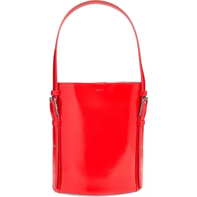 Coperni Ergonomic Leather Bucket Bag In Animal Print