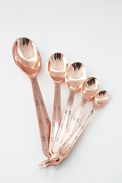 Coppermill Kitchen Vintage Inspired Measuring Spoons In Brown