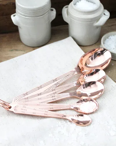 Coppermill Kitchen Vintage Inspired Measuring Spoons Set In Metallic