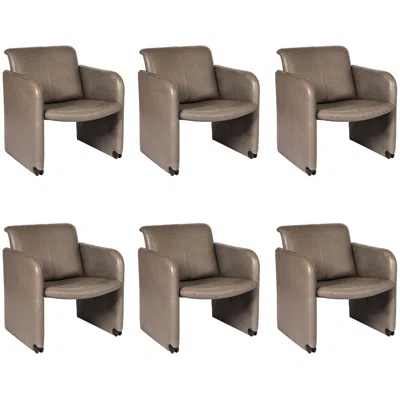 Pre-owned Cor Set Of Six  Leather Armchairs In Gray