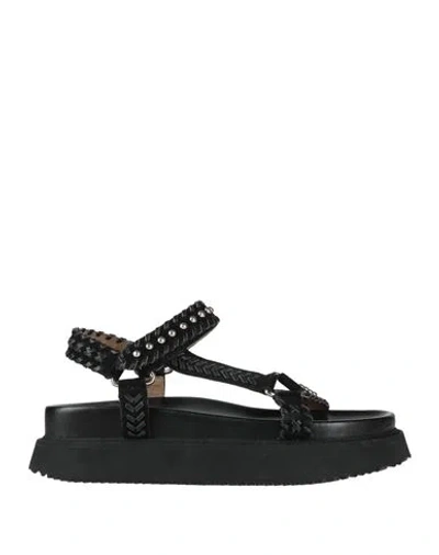 Coral Blue Woman Thong Sandal Black Size 11 Leather