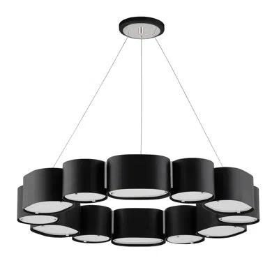 Corbett Lighting Opal 12 Light Chandelier In Soft Black With Stainless Steel,black