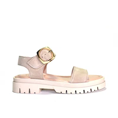 Cordani Alessia 2 Sandals In Khaki Suede In Multi