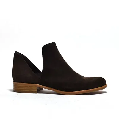 Cordani Burk Ankle Bootie In Brown Suede In Multi