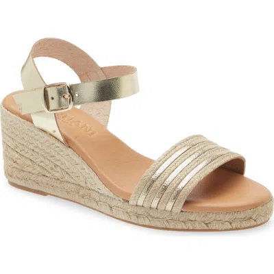 Cordani Eloise Ankle Strap Espadrille Platform Wedge Sandal In Silver