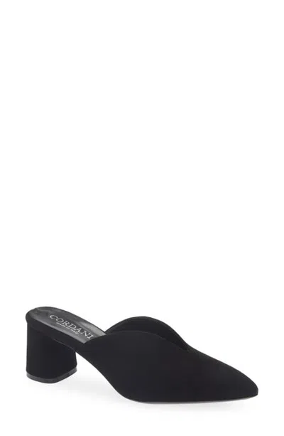 Cordani Gayle Leather Pointed Toe Mule In Black