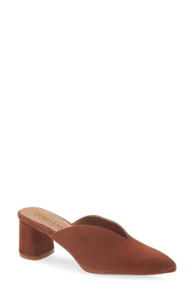 Cordani Gayle Leather Pointed Toe Mule In Brown