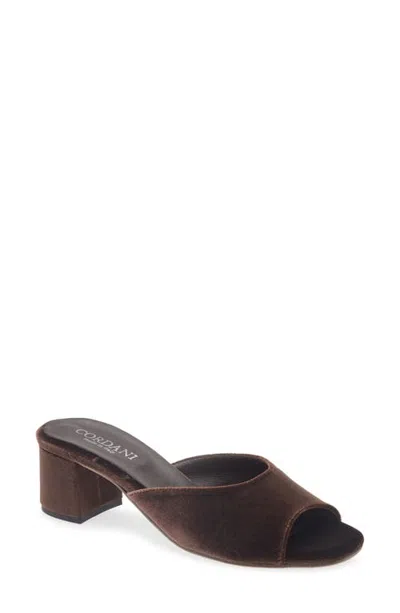 Cordani Idris Slide Sandal In Brown