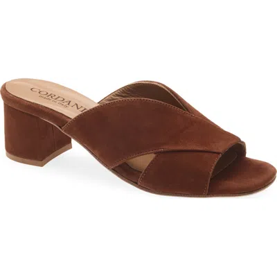 Cordani Ilene Slide Sandal In Brown