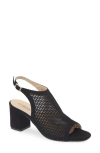 Cordani Illia Ankle Strap Sandal In Black