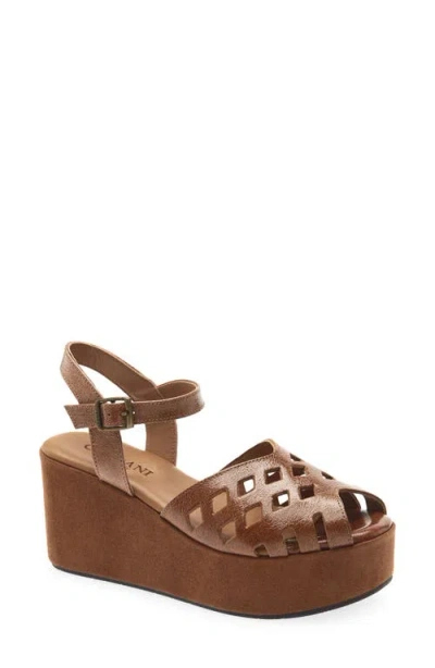 Cordani Jaymie Ankle Strap Peep Toe Platform Wedge Sandal In Brown