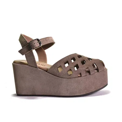 Cordani Jaymie Birdcage Sandal In Porcino Suede In Brown