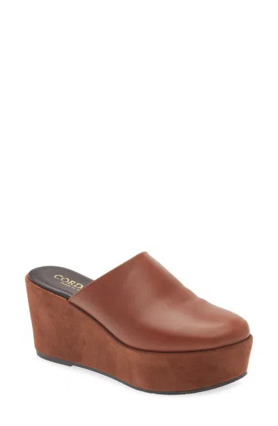 Cordani Jules Platform Mule In Brown