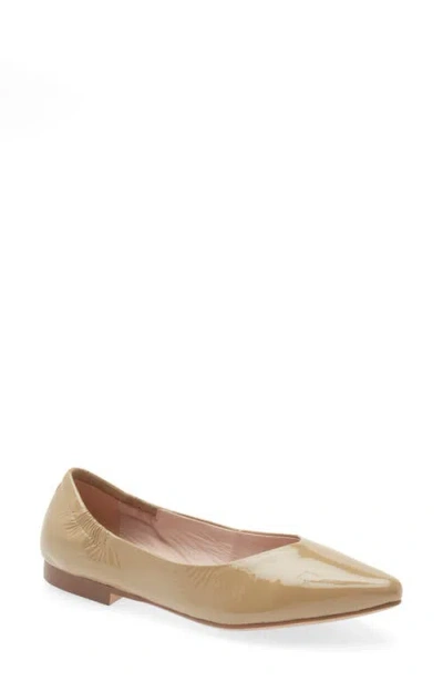 Cordani Mavis Pointed Toe Flat In Brown