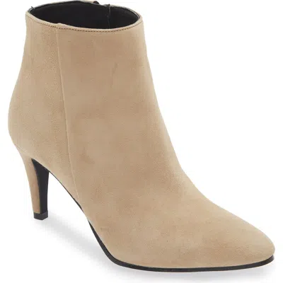 Cordani Nadia Bootie In Creta Suede