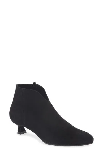 Cordani Nelle Pointed Toe Bootie In Black