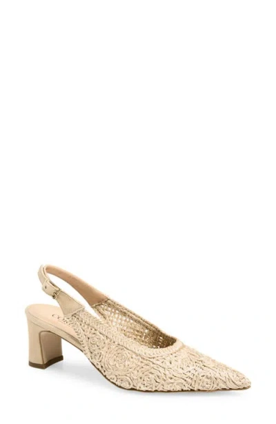 Cordani Nikole Slingback Pointed Toe Pump In Neutral