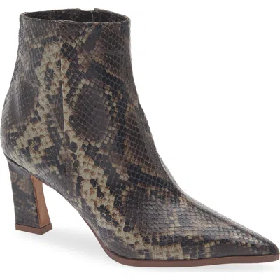 Cordani Norissa Pointed Toe Snakeskin Bootie In Animal Print