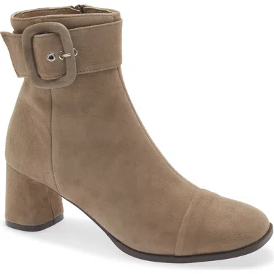 Cordani Norma Buckle Bootie In Gray