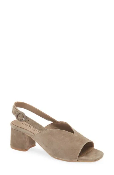 Cordani Pollette Slingback Sandal In Brown
